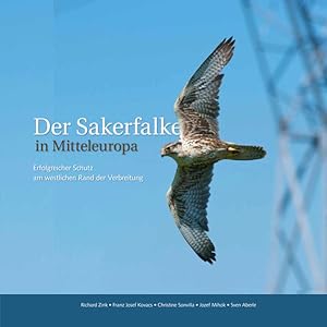 Seller image for Der Sakerfalke in Mitteleuropa: Erfolgreicher Schutz am westlichen Rand der Verbreitung. for sale by Studibuch