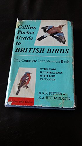 Immagine del venditore per Collins Pocket Guide to British Birds venduto da WeBuyBooks 2