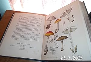 Bild des Verkufers fr On Some Ceylon Species of Agaricus zum Verkauf von gpbrookes