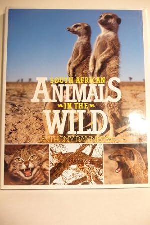 Immagine del venditore per South African Animals in the Wild venduto da WeBuyBooks