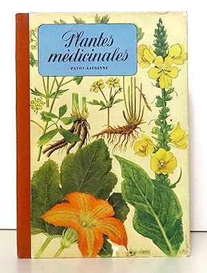 Plantes médicinales.