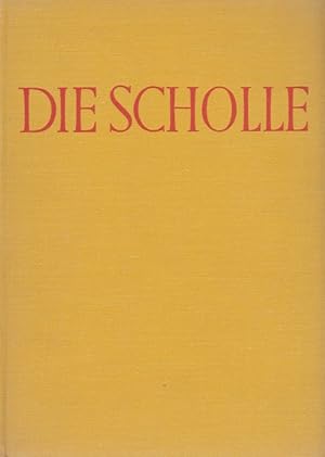 Scholle, Die. Illustrationen von José Benlliure. Deutsche Erstausgabe. Ins Deutsche übertragen vo...