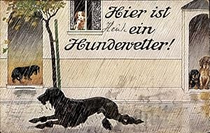 Künstler Ansichtskarte / Postkarte Hier ist ein Hundewetter, Hunde im Regen, Dackel, Pudel
