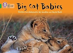 Seller image for Collins Big Cat - Big Cat Babies: Band 05/Green for sale by WeBuyBooks