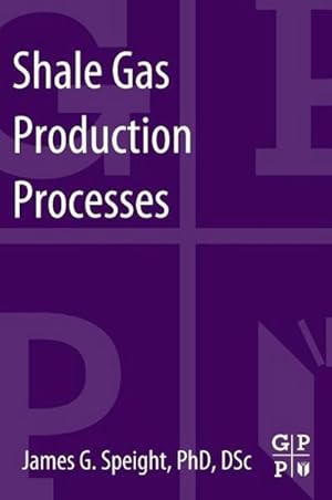 Imagen del vendedor de Shale Gas Production Processes a la venta por AHA-BUCH GmbH