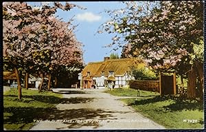 Ibsley Fordingbridge Postcard