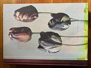 Seller image for Leendert Blok: Silent Beauties: Color Photographs from the 1920s for sale by Bad Animal
