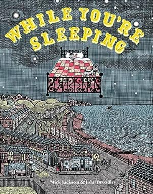 Bild des Verkufers fr While You're Sleeping: A stunning illustrated childrens book exploring the night time world: 1 zum Verkauf von WeBuyBooks