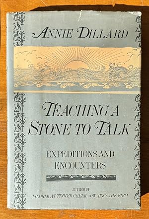 Teaching a Stone to Talk