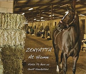 Bild des Verkufers fr ZENYATTA AT HOME ~ Visits To Barn 55 zum Verkauf von SCENE OF THE CRIME 