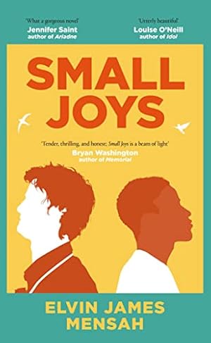 Seller image for Small Joys: A Buzzfeed 'Amazing New Book You Need to Read ASAP' for sale by WeBuyBooks