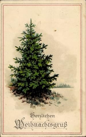 Ansichtskarte / Postkarte Glückwunsch Weihnachten, Tannenbaum