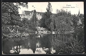 Ansichtskarte Posen, Botanischer Garten