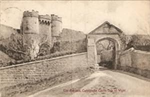 Carisbrooke Castle Local Publisher Postcard