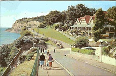 Shanklin Keats Green 1969 Postcard