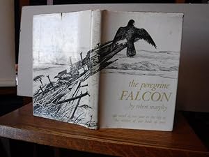 The Peregrine Falcon