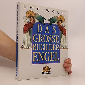 Bild des Verkufers fr Das grosse Buch der Engel zum Verkauf von Bookbot