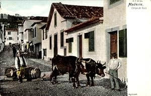 Ansichtskarte / Postkarte Madeira Portugal, Zwei Bullen ziehen einen Schlitten im Ort