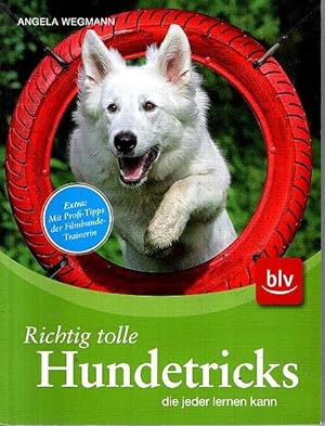 Seller image for Richtig tolle Hundetricks : die jeder lernen kann ; Extra: mit Profi-Tipps der Filmhundetrainerin. for sale by nika-books, art & crafts GbR