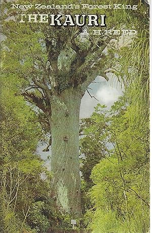 New Zealand's Forest King: The Kauri