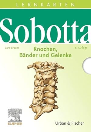 Sobotta Lernkarten Knochen, Bänder und Gelenke Knochen, Bänder, Gelenke