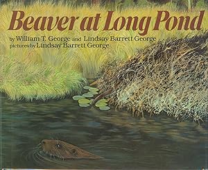Bild des Verkufers fr Beaver at Long Pond zum Verkauf von Bud Plant & Hutchison Books