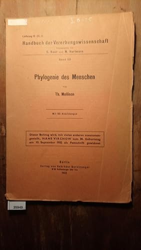 Phylogenie des Menschen