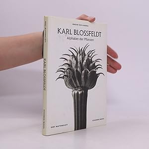 Seller image for Alphabet der Pflanzen for sale by Bookbot