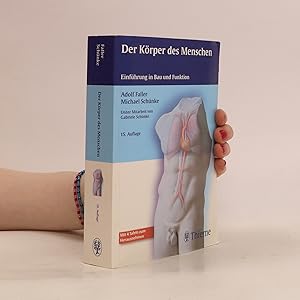 Bild des Verkufers fr Der Ko?rper des Menschen zum Verkauf von Bookbot