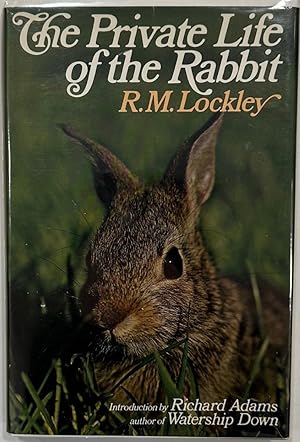 Image du vendeur pour The Private Life of the Rabbit An Account of the Life History and Social Behavior of the Wild Rabbit mis en vente par Eat My Words Books