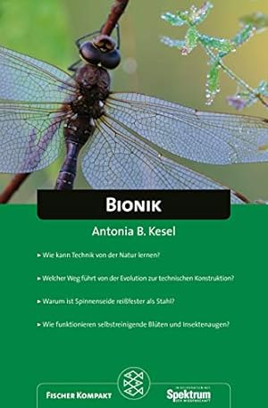 Imagen del vendedor de Fischer Kompakt: Bionik a la venta por Modernes Antiquariat an der Kyll