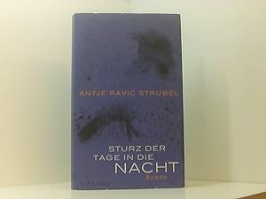 Image du vendeur pour Sturz der Tage in die Nacht: Roman Roman mis en vente par Book Broker