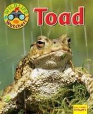 Bild des Verkufers fr Wildlife Watchers: Toad zum Verkauf von Smartbuy