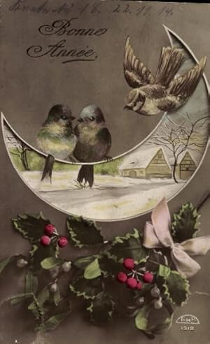 Ansichtskarte / Postkarte Glückwunsch Neujahr, Spatzen, Mond, Stechpalme, Mistelzweige