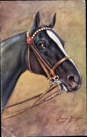 Künstler Ansichtskarte / Postkarte Schwarzes Pferd, Zaumzeug, Kopfstudie
