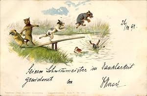 Litho Hunde springen von einem Steg ins Wasser - TSN 5073