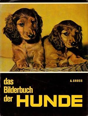 Das Bilderbuch der Hunde. = The Picture Book of Dogs.