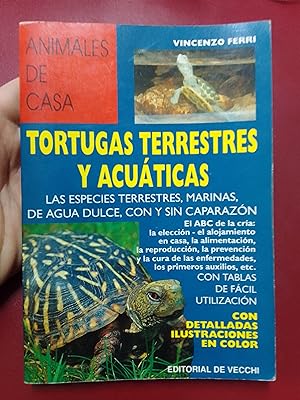 Tortugas terrestres y acuáticas