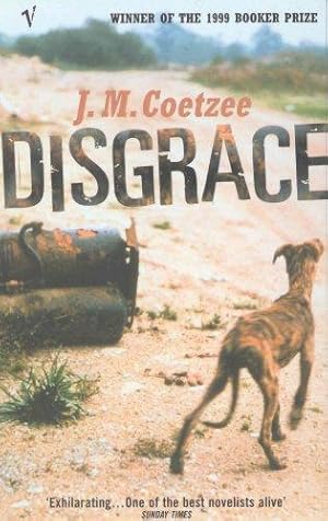 Bild des Verkufers fr Disgrace: A BBC Radio 4 Good Read zum Verkauf von WeBuyBooks