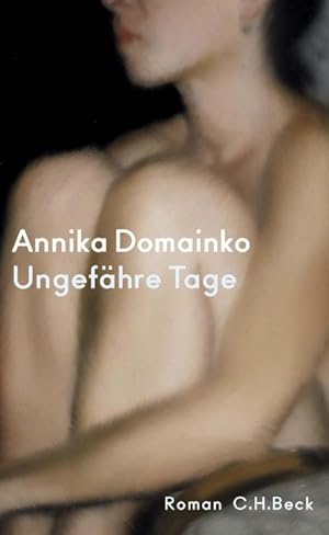 Seller image for Ungefhre Tage: Roman for sale by Rheinberg-Buch Andreas Meier eK