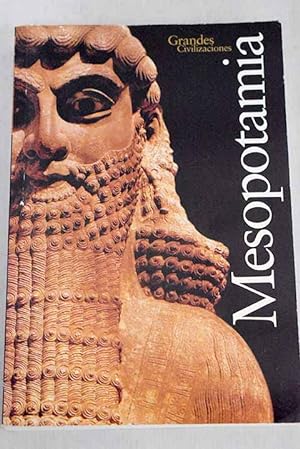 Immagine del venditore per Mesopotamia : assiri, sumeri e babilonesi. venduto da Ammareal