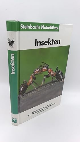 Insekten Mit Anhang Spinnentiere