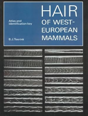 Imagen del vendedor de Hair of West-European Mammals : Atlas and Identification Key a la venta por GreatBookPrices