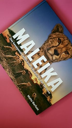 MALEIKA. das bewegende Leben einer Gepardin in der Savanne