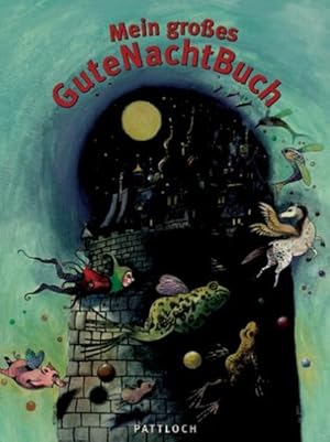 Seller image for Mein groes GuteNachtBuch for sale by Studibuch