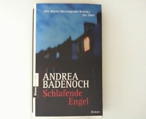 Imagen del vendedor de Schlafende Engel : Roman. a la venta por ANTIQUARIAT FRDEBUCH Inh.Michael Simon