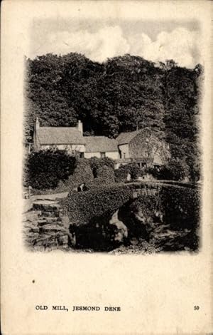 Ansichtskarte / Postkarte Newcastle upon Tyne England, Jesmond Dene, Old Mill
