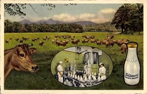 Ansichtskarte / Postkarte Werbung, Getränke, Milch, Milchflasche, Kühe, Wiese, Biltmore Dairy Farm