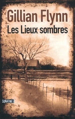Immagine del venditore per Les lieux sombres - Gillian Flynn venduto da Book Hmisphres