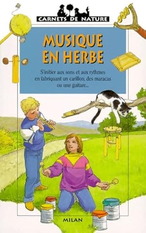 Bild des Verkufers fr Musique en herbe. S'initier aux sons et aux rythmes en fabricant un carillon des maracas ou une guitare - Didier Schmitt zum Verkauf von Book Hmisphres